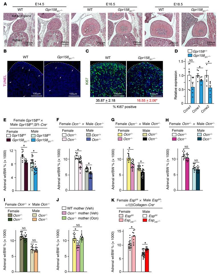 https://cdn.ncbi.nlm.nih.gov/pmc/blobs/6826/8843753/ab22558b942d/jci-132-153752-g042.jpg