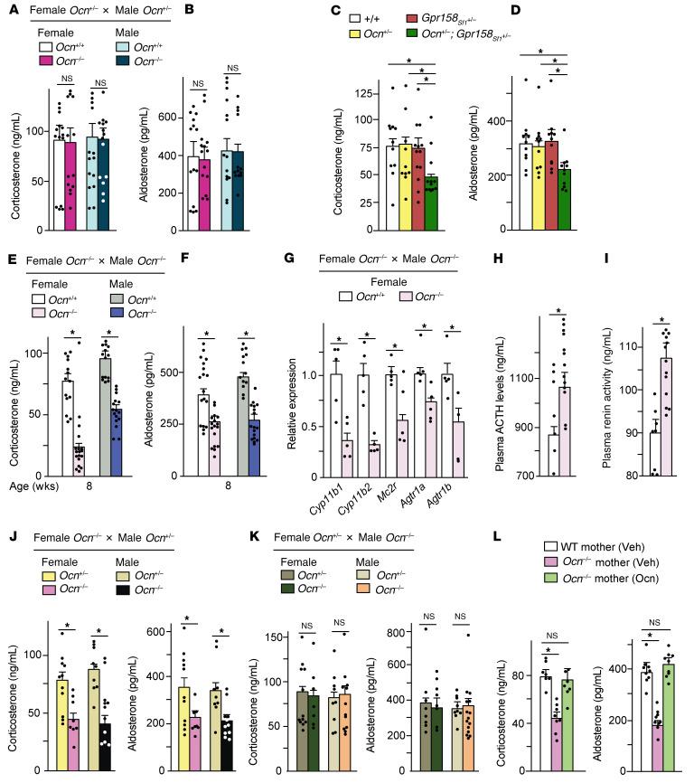 https://cdn.ncbi.nlm.nih.gov/pmc/blobs/6826/8843753/db5325c342a8/jci-132-153752-g040.jpg