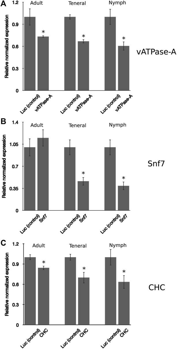 https://cdn.ncbi.nlm.nih.gov/pmc/blobs/6826/9623324/b439c6421e98/fphys-13-931951-g003.jpg
