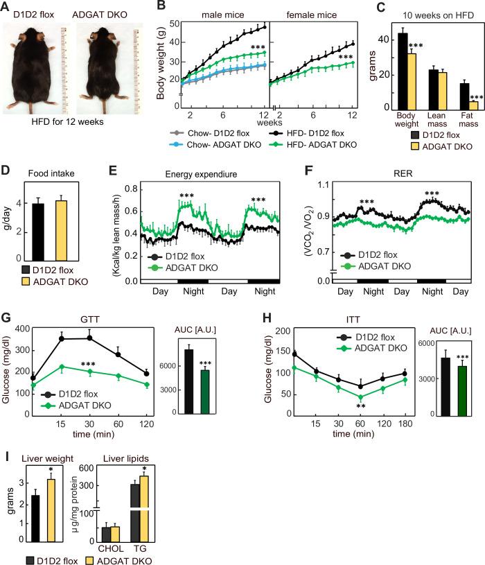 https://cdn.ncbi.nlm.nih.gov/pmc/blobs/6827/10545428/2f9070af2b52/elife-88049-fig4.jpg