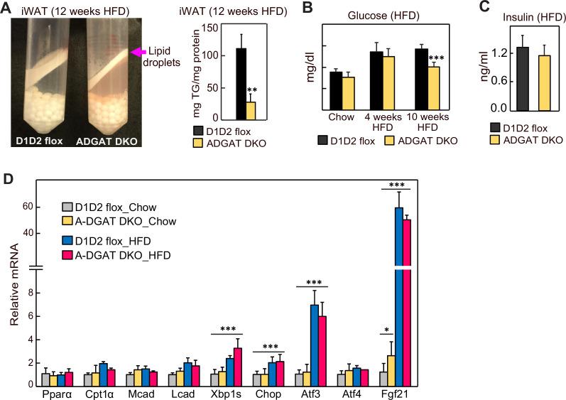 https://cdn.ncbi.nlm.nih.gov/pmc/blobs/6827/10545428/c5ca76eed754/elife-88049-fig4-figsupp1.jpg