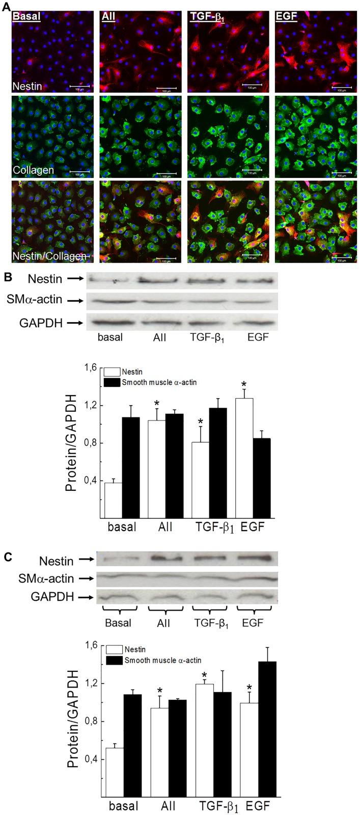 https://cdn.ncbi.nlm.nih.gov/pmc/blobs/6828/5407835/b0e9c09fc9f9/pone.0176147.g005.jpg