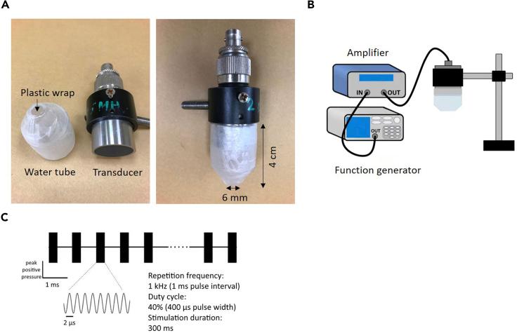 https://cdn.ncbi.nlm.nih.gov/pmc/blobs/6828/7995654/83fd89923088/gr1.jpg