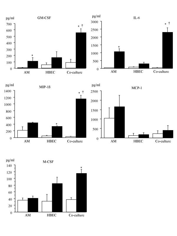 https://cdn.ncbi.nlm.nih.gov/pmc/blobs/6829/1199624/f97d9d2f21e0/1465-9921-6-87-3.jpg