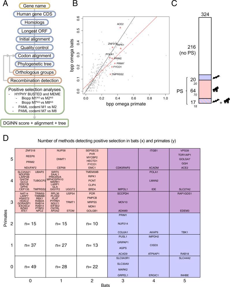 https://cdn.ncbi.nlm.nih.gov/pmc/blobs/6829/9436378/523e31d7d4bb/pnas.2206610119fig01.jpg