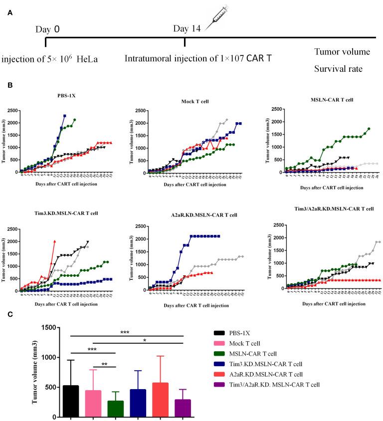 https://cdn.ncbi.nlm.nih.gov/pmc/blobs/682a/11157064/202fa36ef2d0/fimmu-15-1362904-g006.jpg