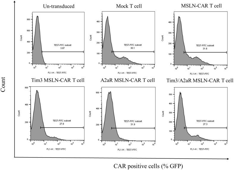 https://cdn.ncbi.nlm.nih.gov/pmc/blobs/682a/11157064/e00aca5e62d7/fimmu-15-1362904-g002.jpg