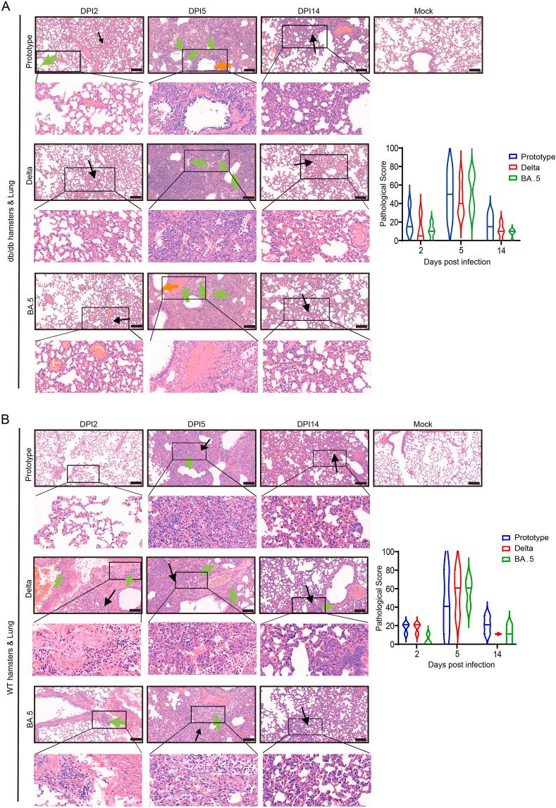 https://cdn.ncbi.nlm.nih.gov/pmc/blobs/682b/12282415/2ce5b6670733/gr4.jpg