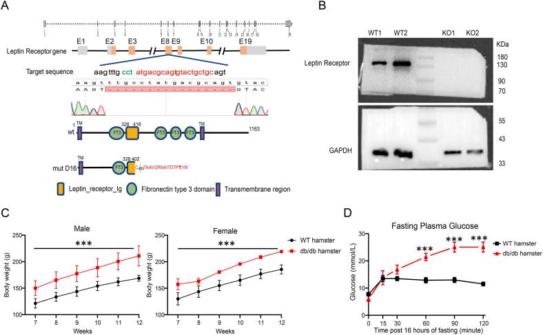 https://cdn.ncbi.nlm.nih.gov/pmc/blobs/682b/12282415/2e9889d4c2c3/gr1.jpg