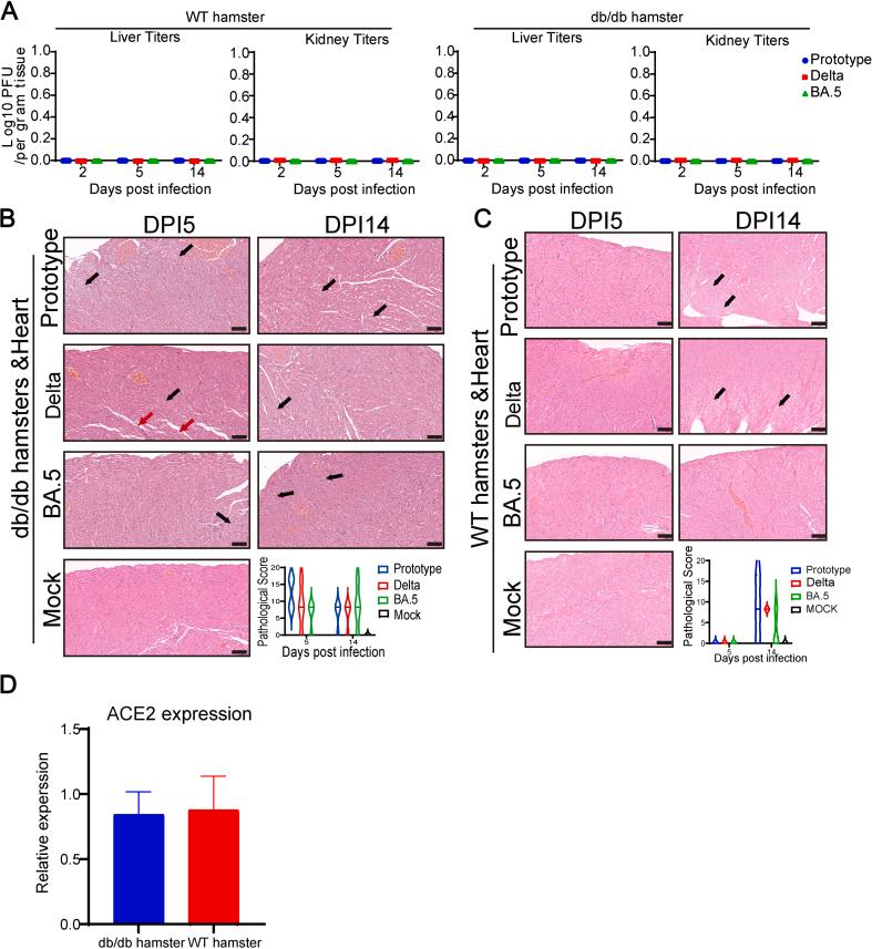 https://cdn.ncbi.nlm.nih.gov/pmc/blobs/682b/12282415/60e58dfddfa5/figs1.jpg