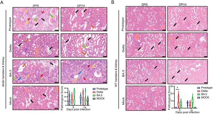 https://cdn.ncbi.nlm.nih.gov/pmc/blobs/682b/12282415/d8c5a277240d/gr5.jpg