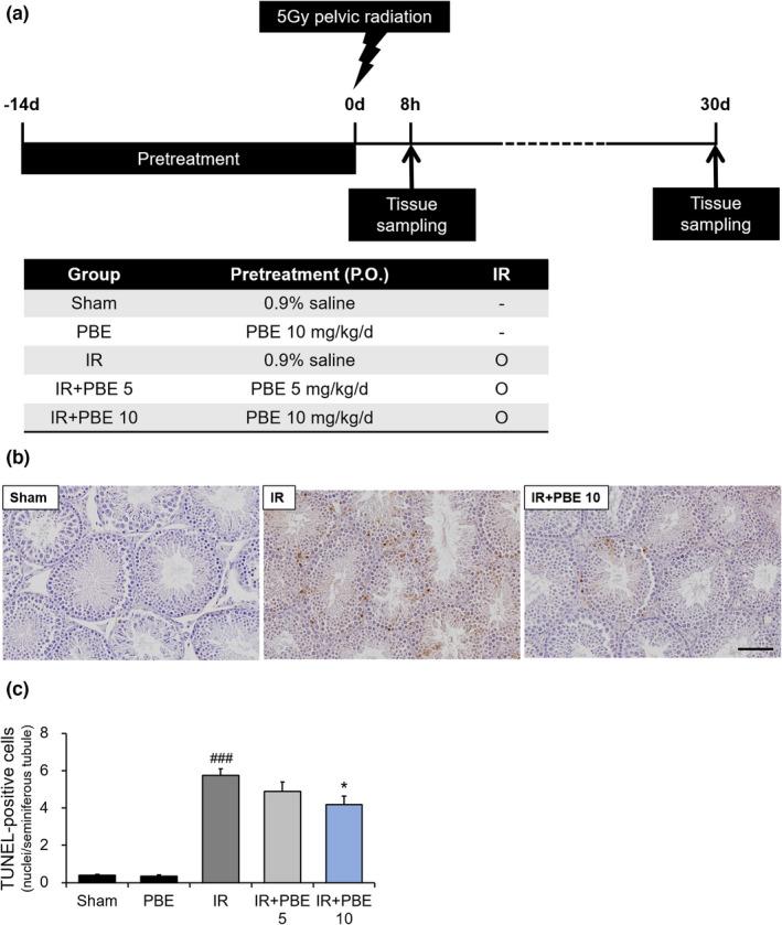 https://cdn.ncbi.nlm.nih.gov/pmc/blobs/682b/9632216/05d83a77fc01/FSN3-10-3969-g006.jpg