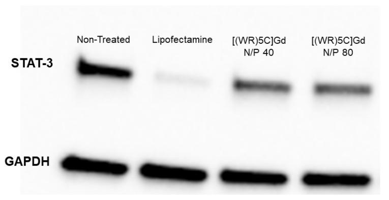 https://cdn.ncbi.nlm.nih.gov/pmc/blobs/682c/8617768/d29330d2c1ef/pharmaceuticals-14-01064-g007.jpg