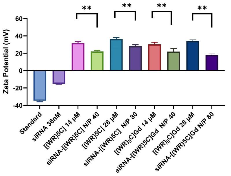 https://cdn.ncbi.nlm.nih.gov/pmc/blobs/682c/8617768/e429c33d27b4/pharmaceuticals-14-01064-g004.jpg
