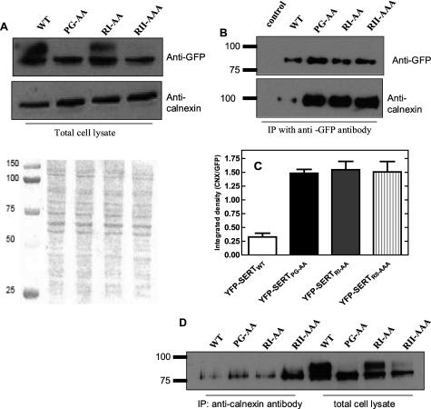 https://cdn.ncbi.nlm.nih.gov/pmc/blobs/6830/2998113/cdb5f7235927/zbc0011141270006.jpg