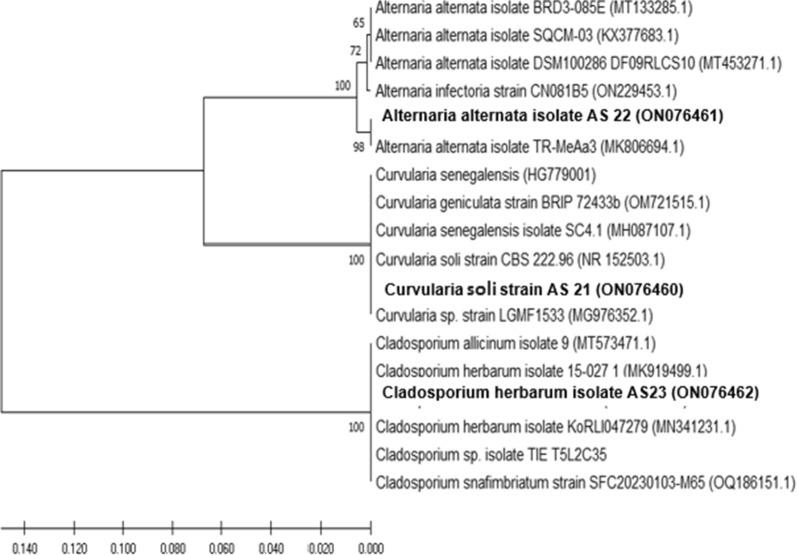 https://cdn.ncbi.nlm.nih.gov/pmc/blobs/6831/10895916/4aa1629127cf/12934_2024_2335_Fig2_HTML.jpg