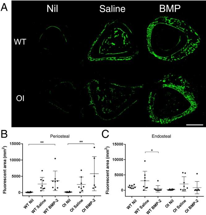 https://cdn.ncbi.nlm.nih.gov/pmc/blobs/6832/6808071/c4d91ffeac46/jco-13-543-g0004.jpg