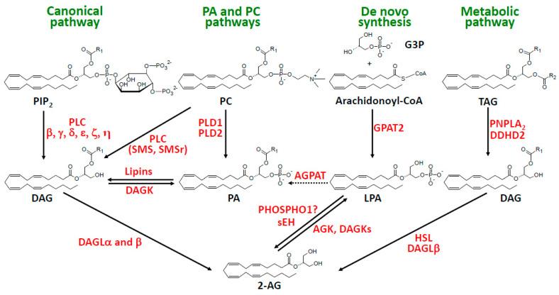 https://cdn.ncbi.nlm.nih.gov/pmc/blobs/6833/11314389/30b29dde546c/molecules-29-03694-g002.jpg