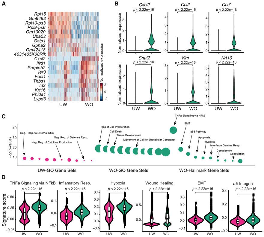 https://cdn.ncbi.nlm.nih.gov/pmc/blobs/6833/7218802/000b3be0758e/nihms-1578466-f0004.jpg