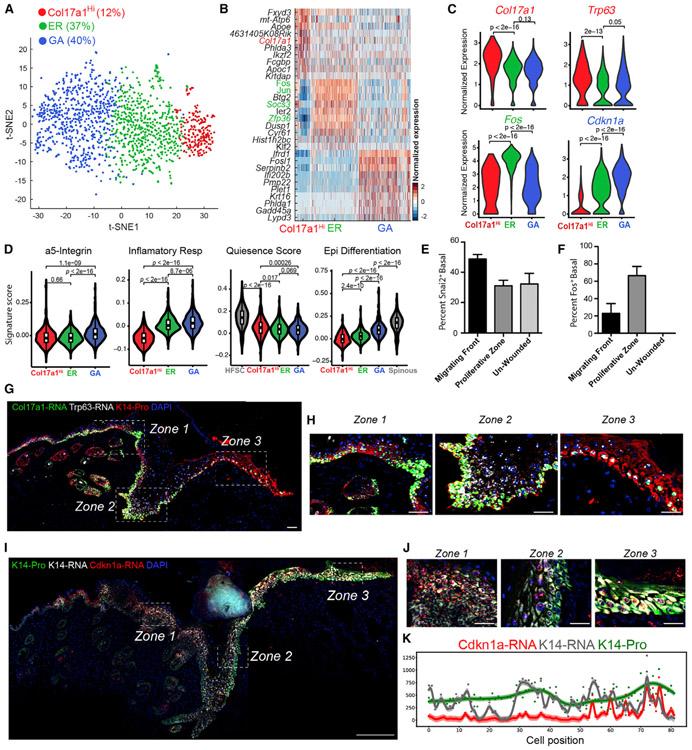 https://cdn.ncbi.nlm.nih.gov/pmc/blobs/6833/7218802/d3a57fb61e99/nihms-1578466-f0006.jpg