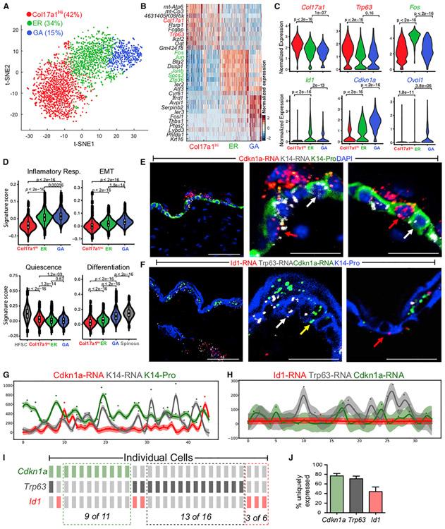 https://cdn.ncbi.nlm.nih.gov/pmc/blobs/6833/7218802/ef2c8ad8eae7/nihms-1578466-f0005.jpg