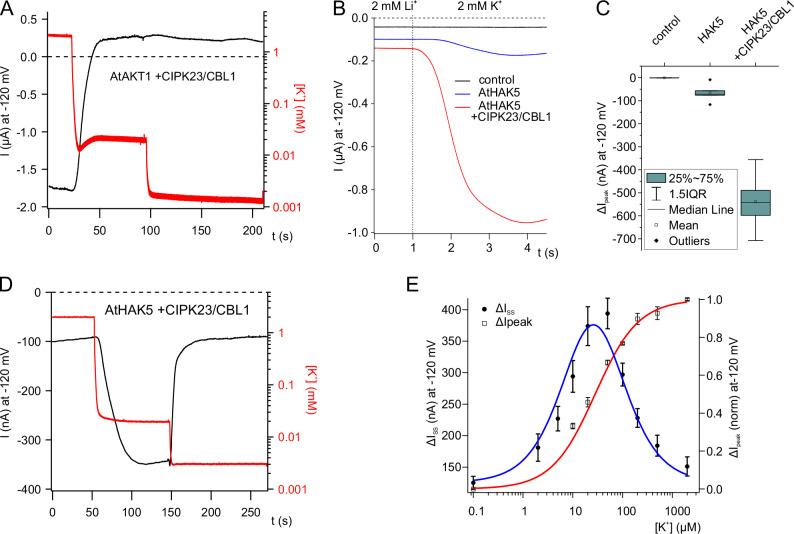https://cdn.ncbi.nlm.nih.gov/pmc/blobs/6834/11450230/6ab90c84cd80/41467_2024_52963_Fig1_HTML.jpg