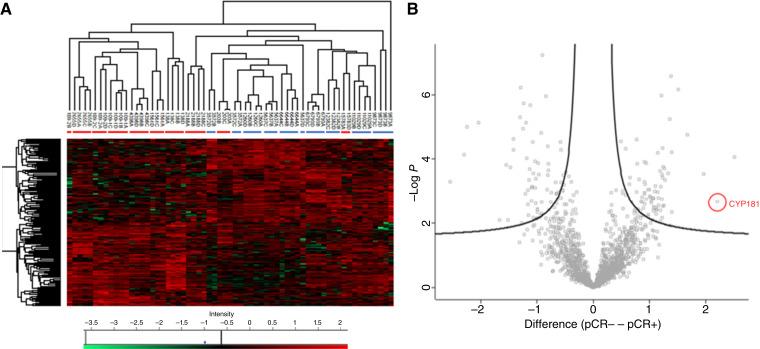 https://cdn.ncbi.nlm.nih.gov/pmc/blobs/6834/12210225/069b67eab3bd/crc-25-0034_f2.jpg
