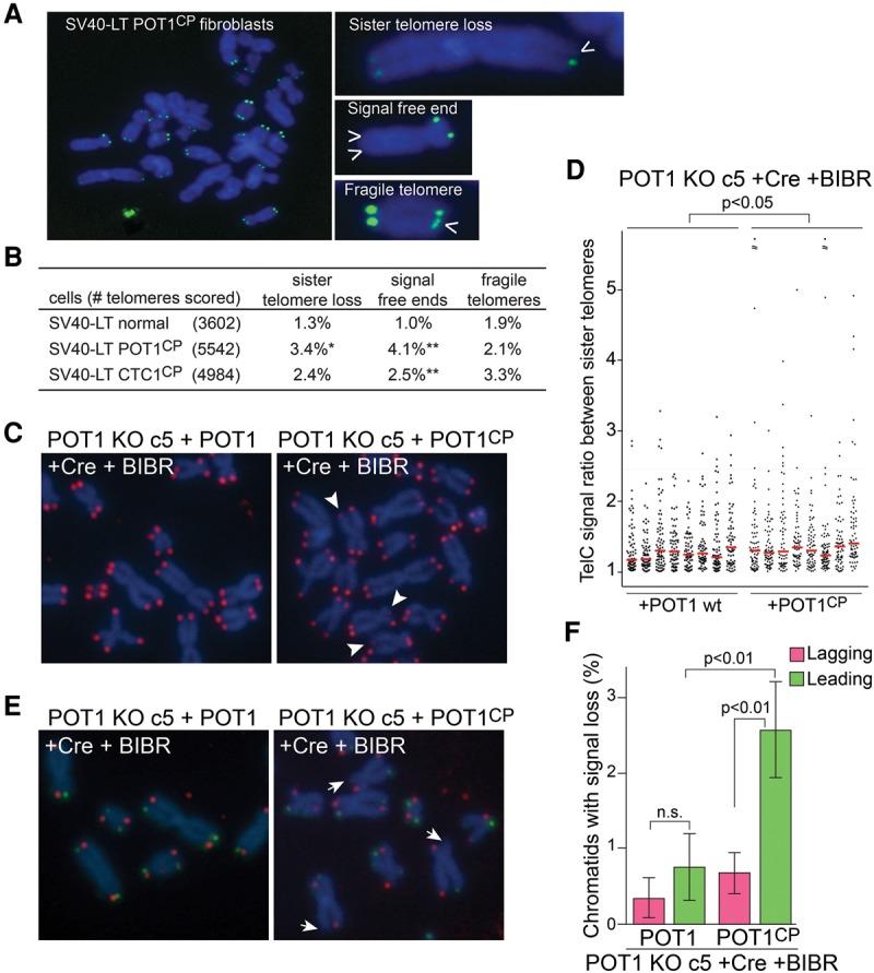 https://cdn.ncbi.nlm.nih.gov/pmc/blobs/6839/4826397/00da1428b46c/812f06.jpg