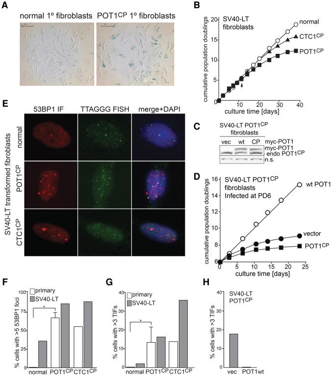 https://cdn.ncbi.nlm.nih.gov/pmc/blobs/6839/4826397/96d870336ba6/812f02.jpg