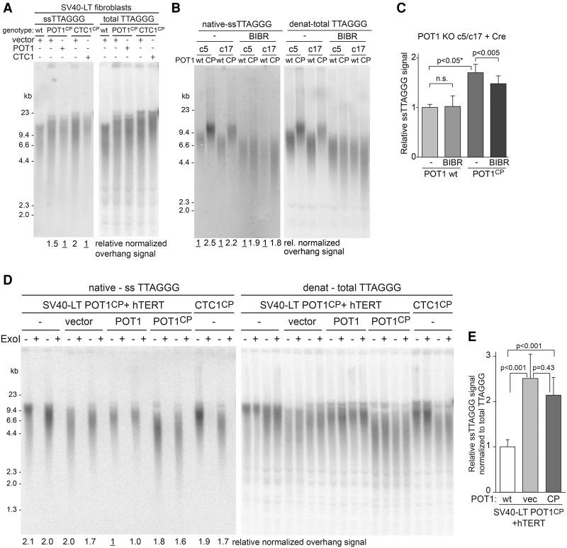 https://cdn.ncbi.nlm.nih.gov/pmc/blobs/6839/4826397/a5a1a3b50e03/812f04.jpg