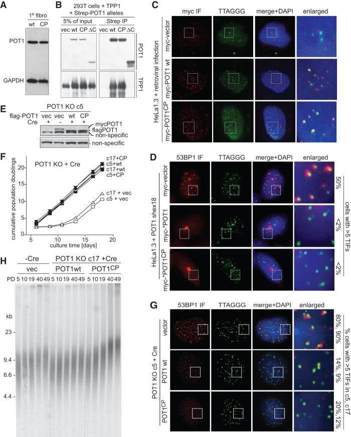 https://cdn.ncbi.nlm.nih.gov/pmc/blobs/6839/4826397/d85602cae849/812f03.jpg