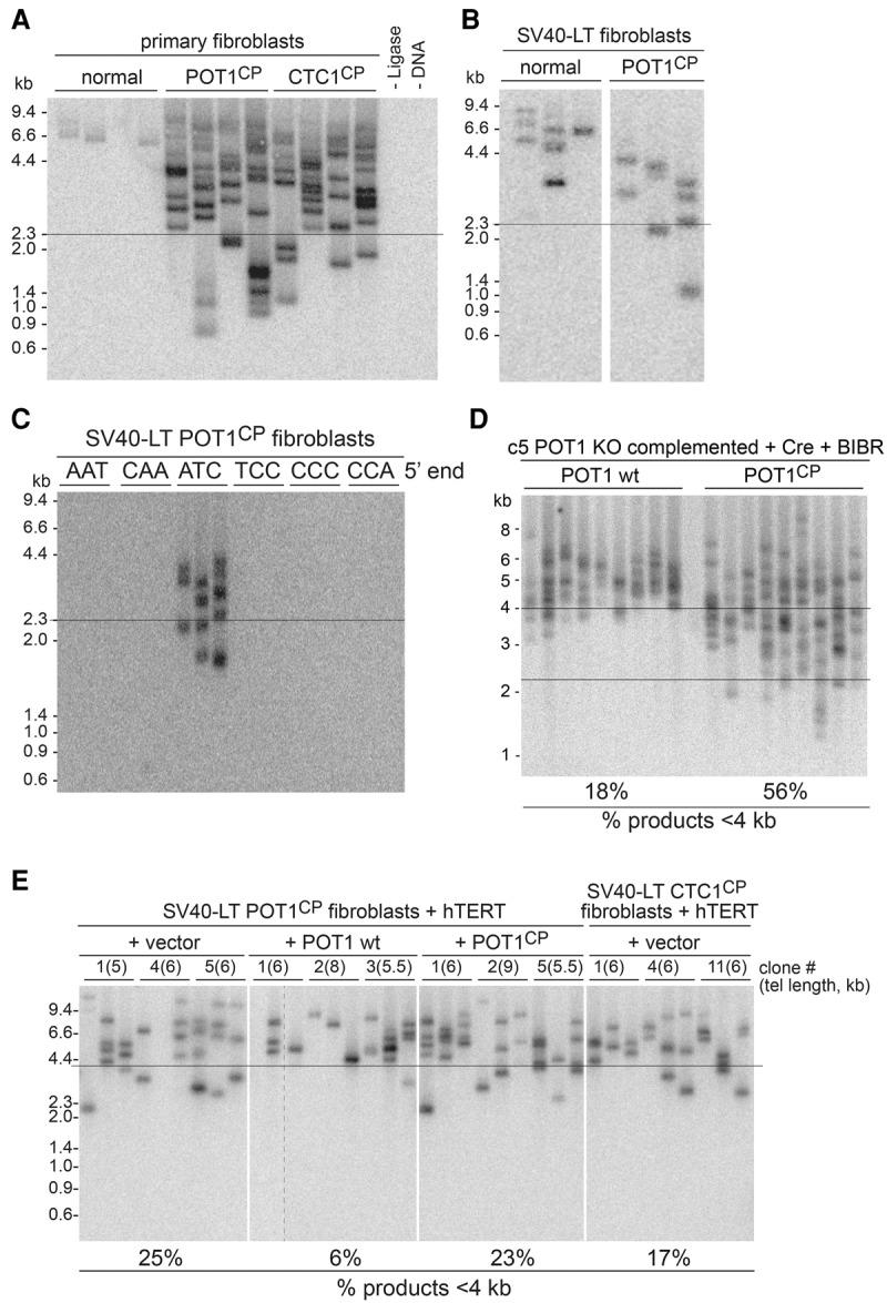 https://cdn.ncbi.nlm.nih.gov/pmc/blobs/6839/4826397/ead7145f624a/812f05.jpg