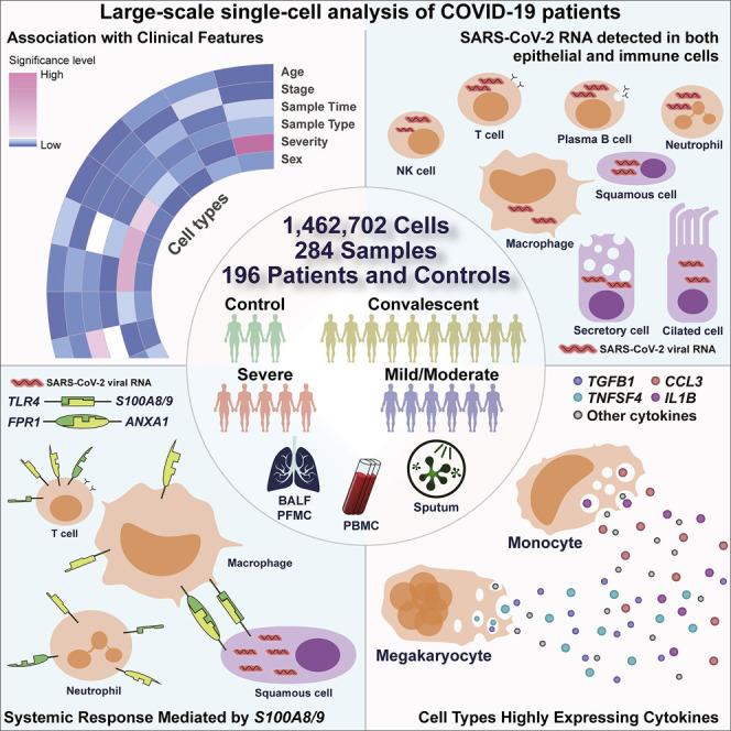 https://cdn.ncbi.nlm.nih.gov/pmc/blobs/6839/7857060/3717ac7187ac/fx1_lrg.jpg