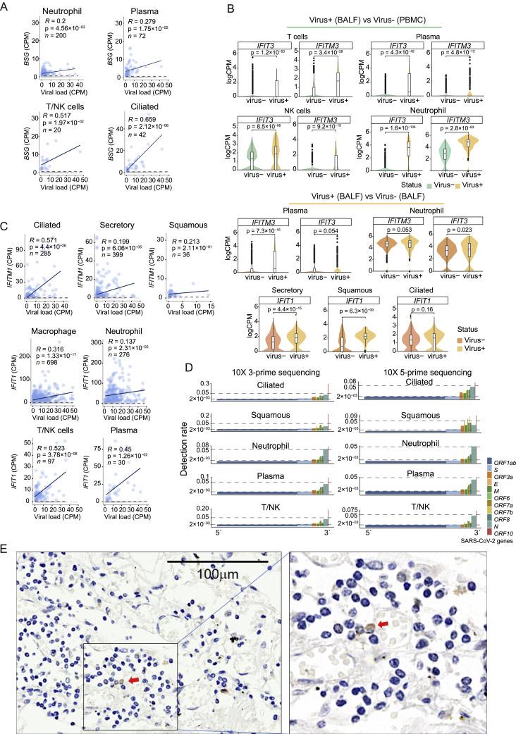 https://cdn.ncbi.nlm.nih.gov/pmc/blobs/6839/7857060/76152d137815/figs4_lrg.jpg