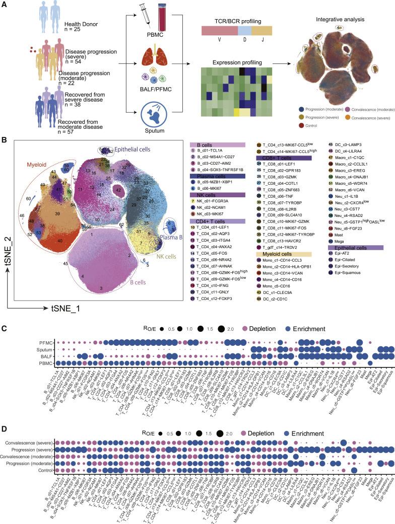 https://cdn.ncbi.nlm.nih.gov/pmc/blobs/6839/7857060/82941966224a/gr1_lrg.jpg