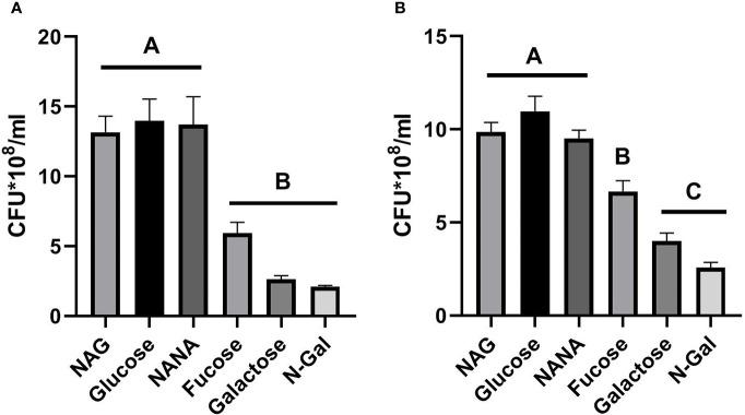 https://cdn.ncbi.nlm.nih.gov/pmc/blobs/6839/9393340/105c0cbf97a6/fcimb-12-975173-g001.jpg