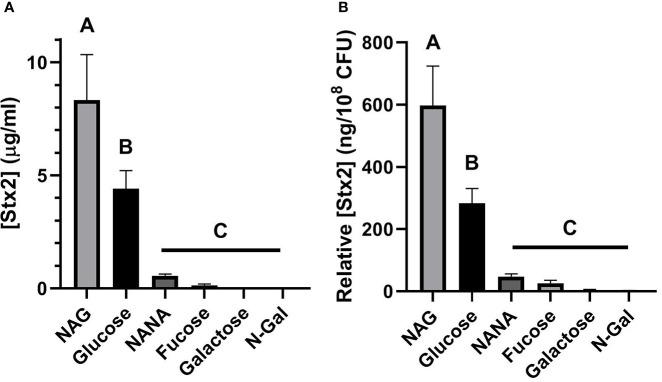 https://cdn.ncbi.nlm.nih.gov/pmc/blobs/6839/9393340/5108dfff0e34/fcimb-12-975173-g003.jpg