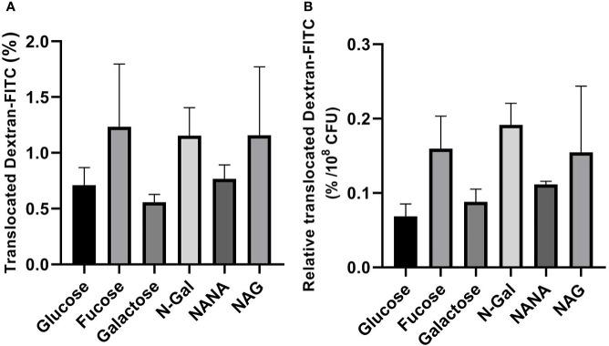 https://cdn.ncbi.nlm.nih.gov/pmc/blobs/6839/9393340/6f2a67322f11/fcimb-12-975173-g006.jpg