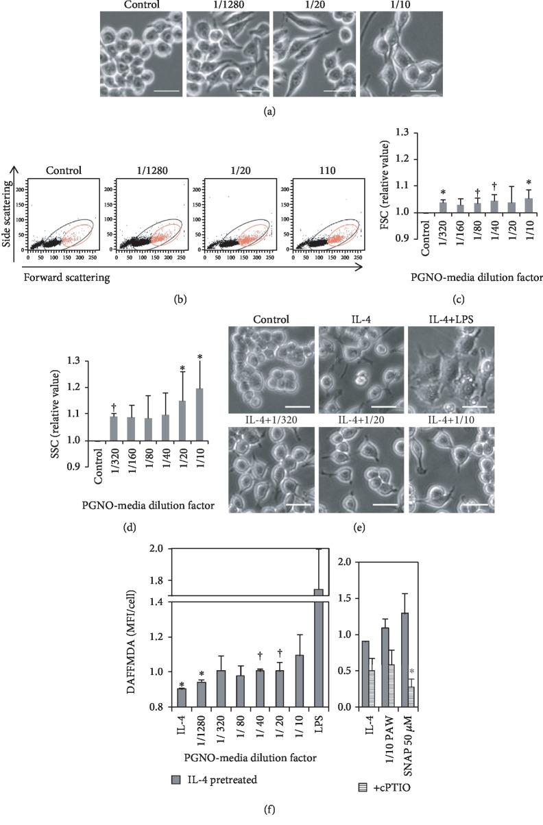 https://cdn.ncbi.nlm.nih.gov/pmc/blobs/683a/7013299/84aa6fc1d0e6/OMCL2020-2946820.003.jpg