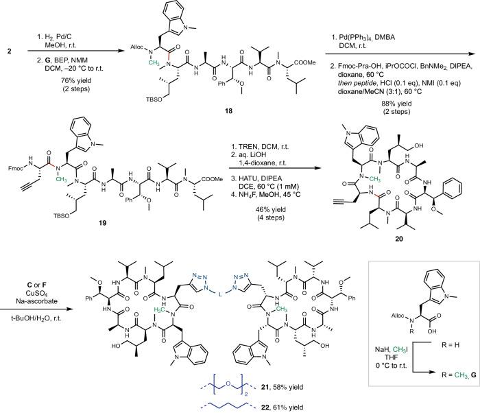 https://cdn.ncbi.nlm.nih.gov/pmc/blobs/683d/10914731/d33eeff81f54/41467_2024_46218_Fig3_HTML.jpg