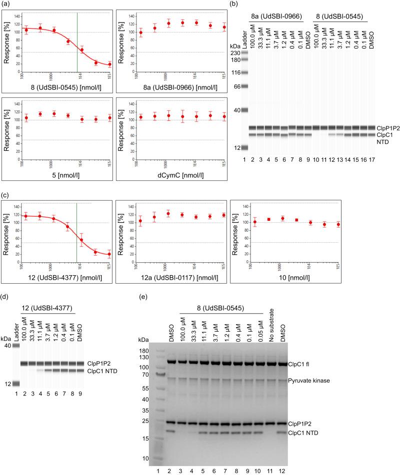 https://cdn.ncbi.nlm.nih.gov/pmc/blobs/683d/10914731/d716e9035450/41467_2024_46218_Fig4_HTML.jpg
