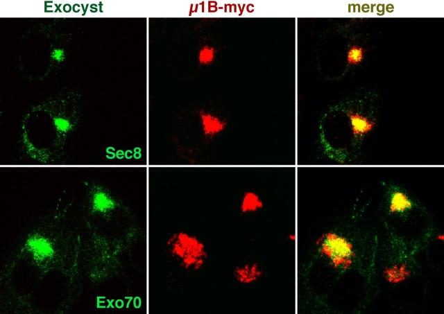 https://cdn.ncbi.nlm.nih.gov/pmc/blobs/683d/2173537/bd1868e679f1/200309020f5.jpg
