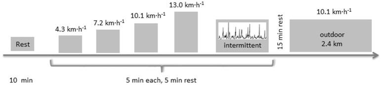 https://cdn.ncbi.nlm.nih.gov/pmc/blobs/683d/5615304/a27f099b8715/fphys-08-00725-g0001.jpg