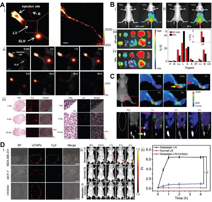 https://cdn.ncbi.nlm.nih.gov/pmc/blobs/6841/12374582/273be1ac79a3/thnov15p8259g011.jpg