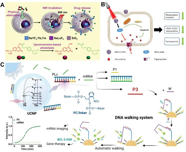 https://cdn.ncbi.nlm.nih.gov/pmc/blobs/6841/12374582/2f6b537303c6/thnov15p8259g016.jpg