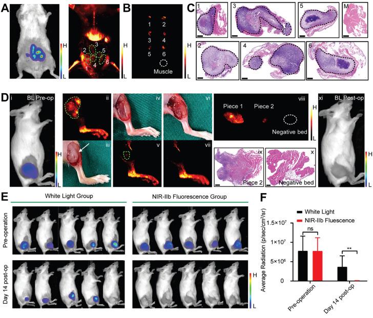 https://cdn.ncbi.nlm.nih.gov/pmc/blobs/6841/12374582/8ce1148507d9/thnov15p8259g009.jpg