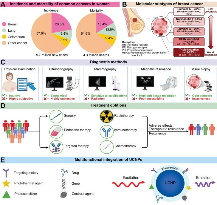 https://cdn.ncbi.nlm.nih.gov/pmc/blobs/6841/12374582/e9fe7c2b5566/thnov15p8259g001.jpg