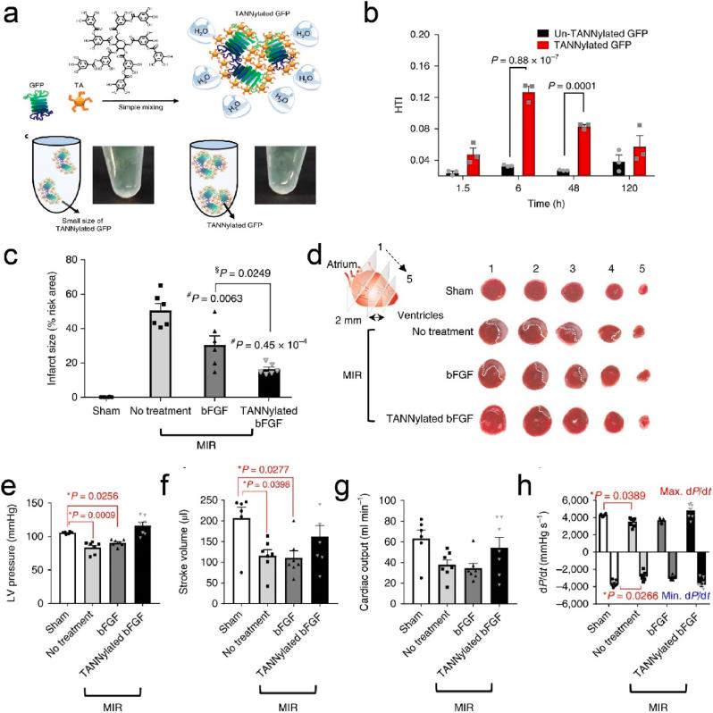 https://cdn.ncbi.nlm.nih.gov/pmc/blobs/6842/12398862/3755d1406706/gr7.jpg