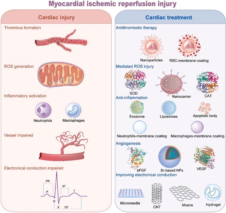 https://cdn.ncbi.nlm.nih.gov/pmc/blobs/6842/12398862/4b5ee2c225c8/ga1.jpg
