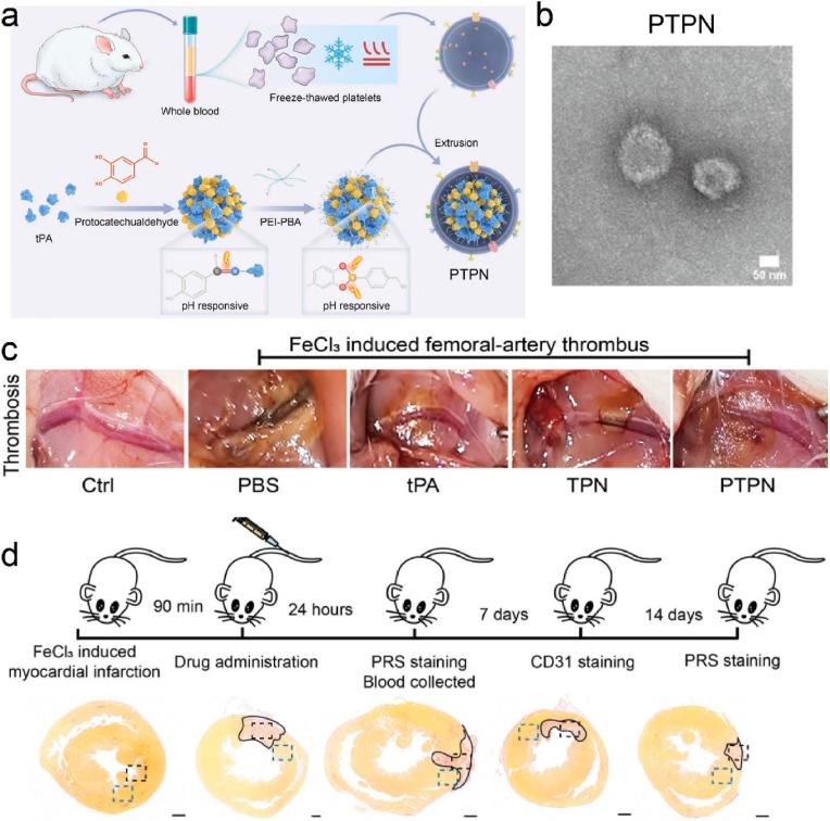 https://cdn.ncbi.nlm.nih.gov/pmc/blobs/6842/12398862/5b0363775635/gr2.jpg